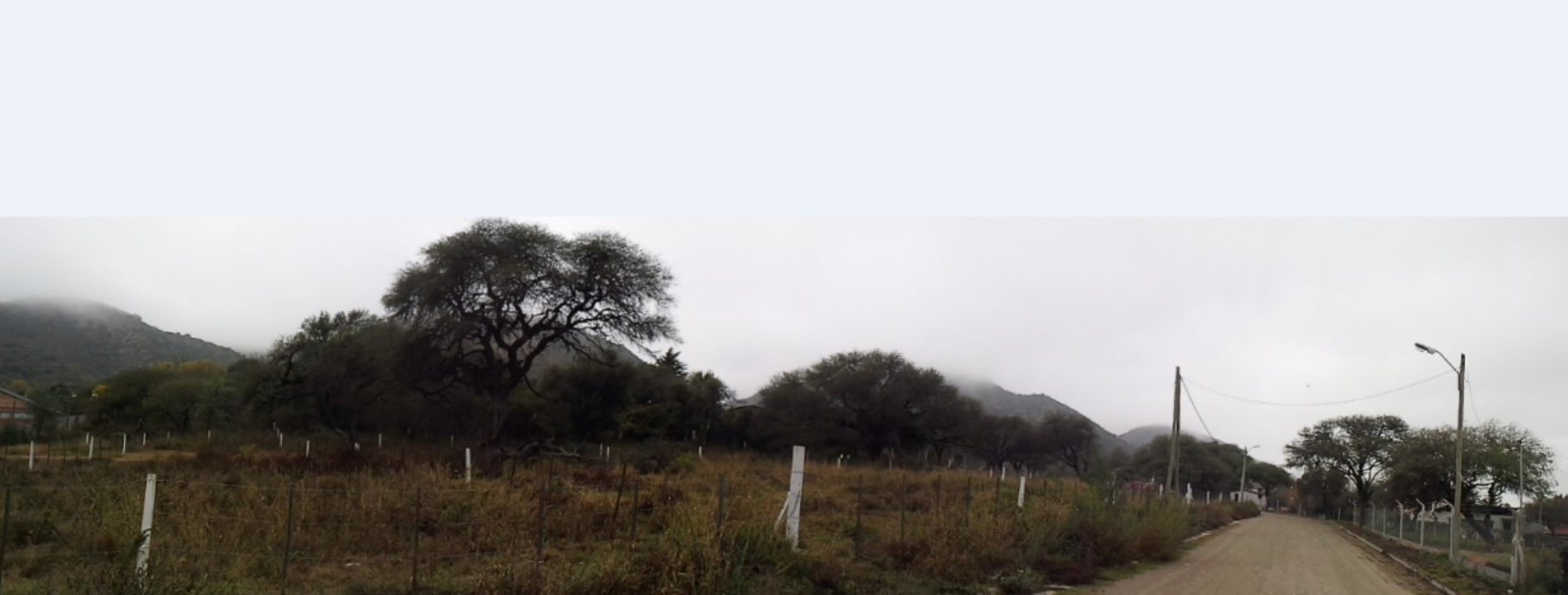 campito bustos